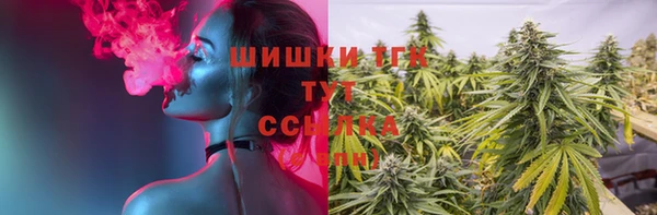 МДМА Новозыбков