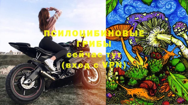 МДМА Новозыбков