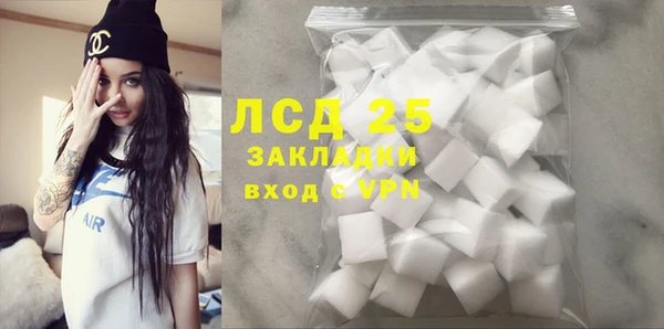 гидра Новодвинск