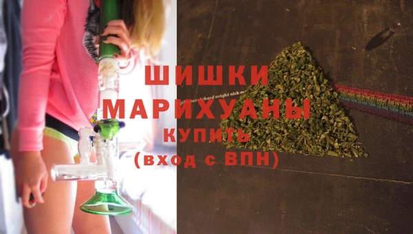 гидра Новодвинск